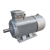 Permanent Magnet Motor