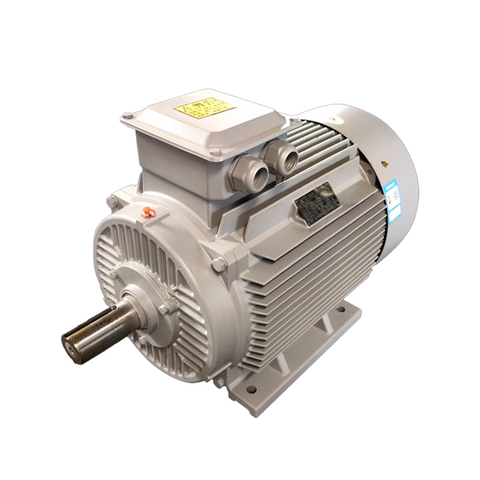 YE4 Series Three-Phase Asynchronous Motor: Energy Efficiency Level 2 (IE4)