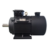 YVF3 Variable Frequency Speed ​​Control Three-Phase Asynchronous Motor