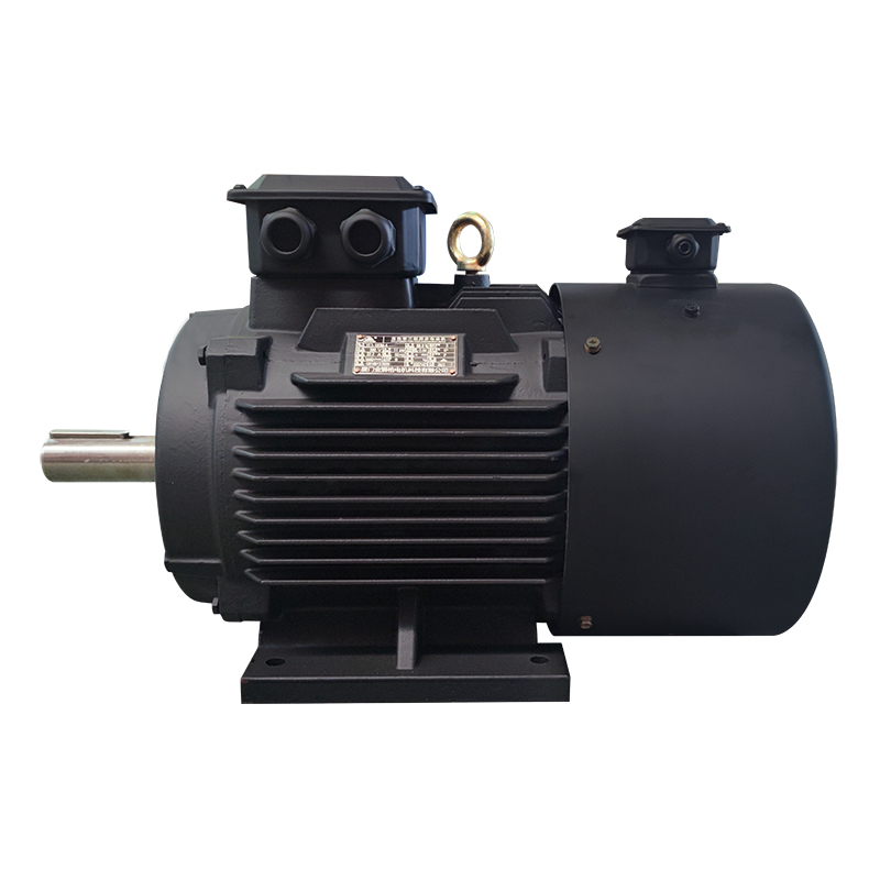 YVF3 Variable Frequency Speed ​​Control Three-Phase Asynchronous Motor