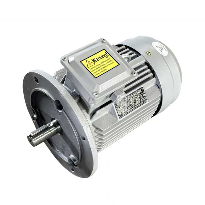YE3 Series Three-Phase Asynchronous Motor B5